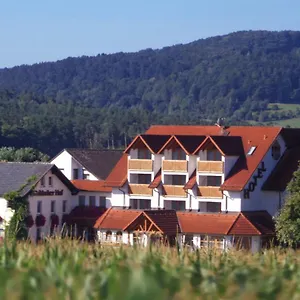 Hotel-restaurant Fränkischer Hof 3* Altenkunstadt